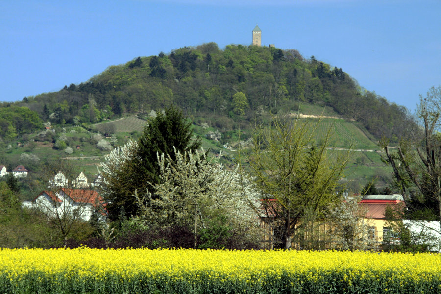Blick auf Starkenburg - Bergstrasse