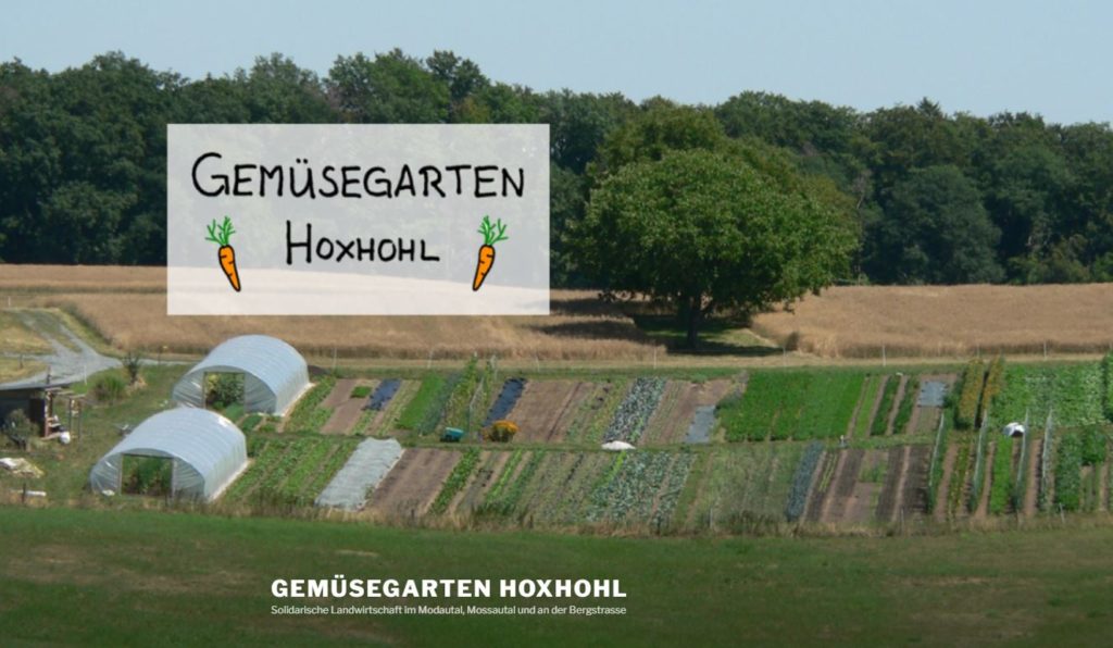 Gemüsegarten Hoxhohl