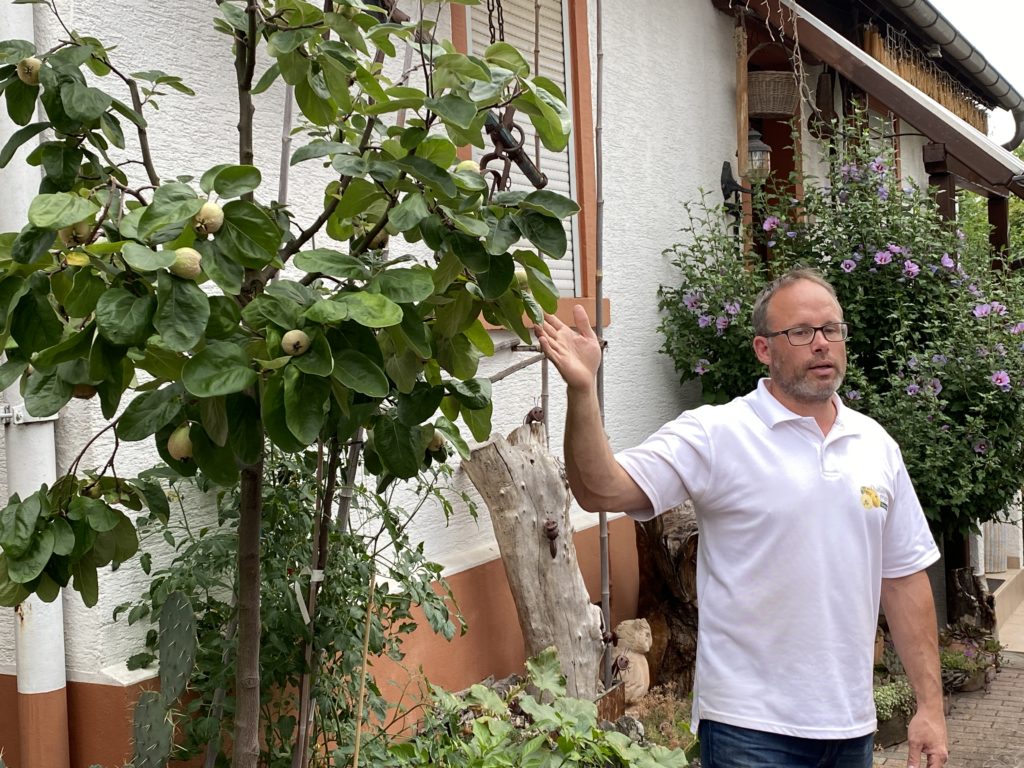 Genial Regional Verein - Quittenprojekt Bergstraße