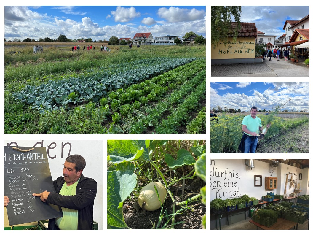 Hoflädchen Ochsenschläger - Solidarische Landwirtschaft 3