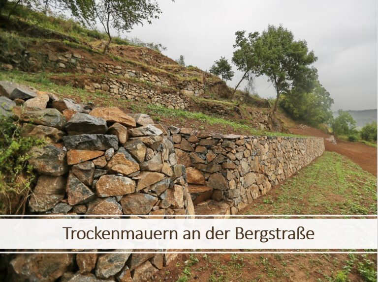 Trockenmauern an der Bergstraße - Kulturlandschaft - Jahreszeiten regional erleben